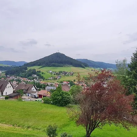 In Black Forest شقة *